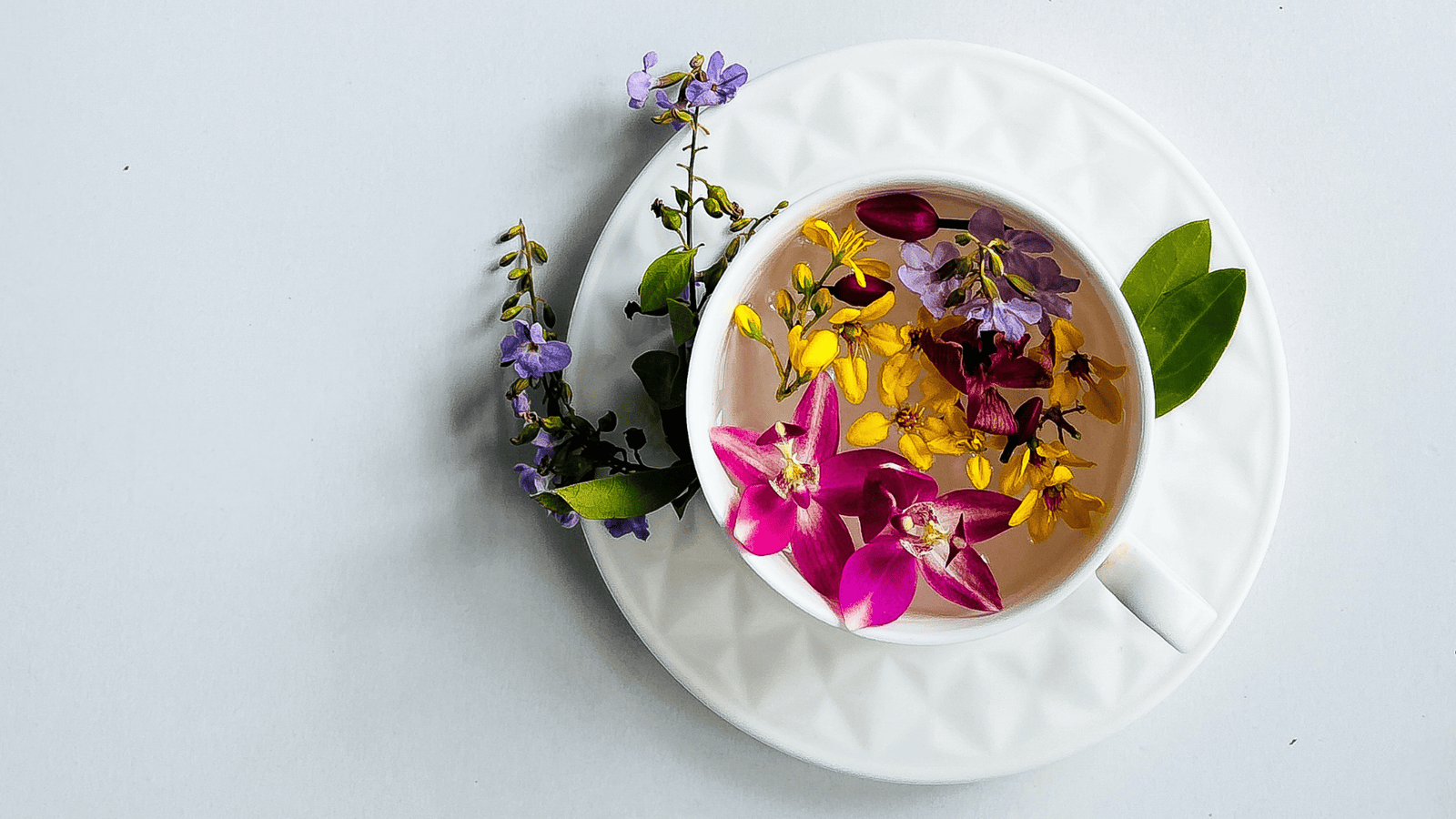 Blähungen entgegenwirken mit einem heissen Kräutertee, der in einer weissen Tasse auf einem weissen Untergrund steht.