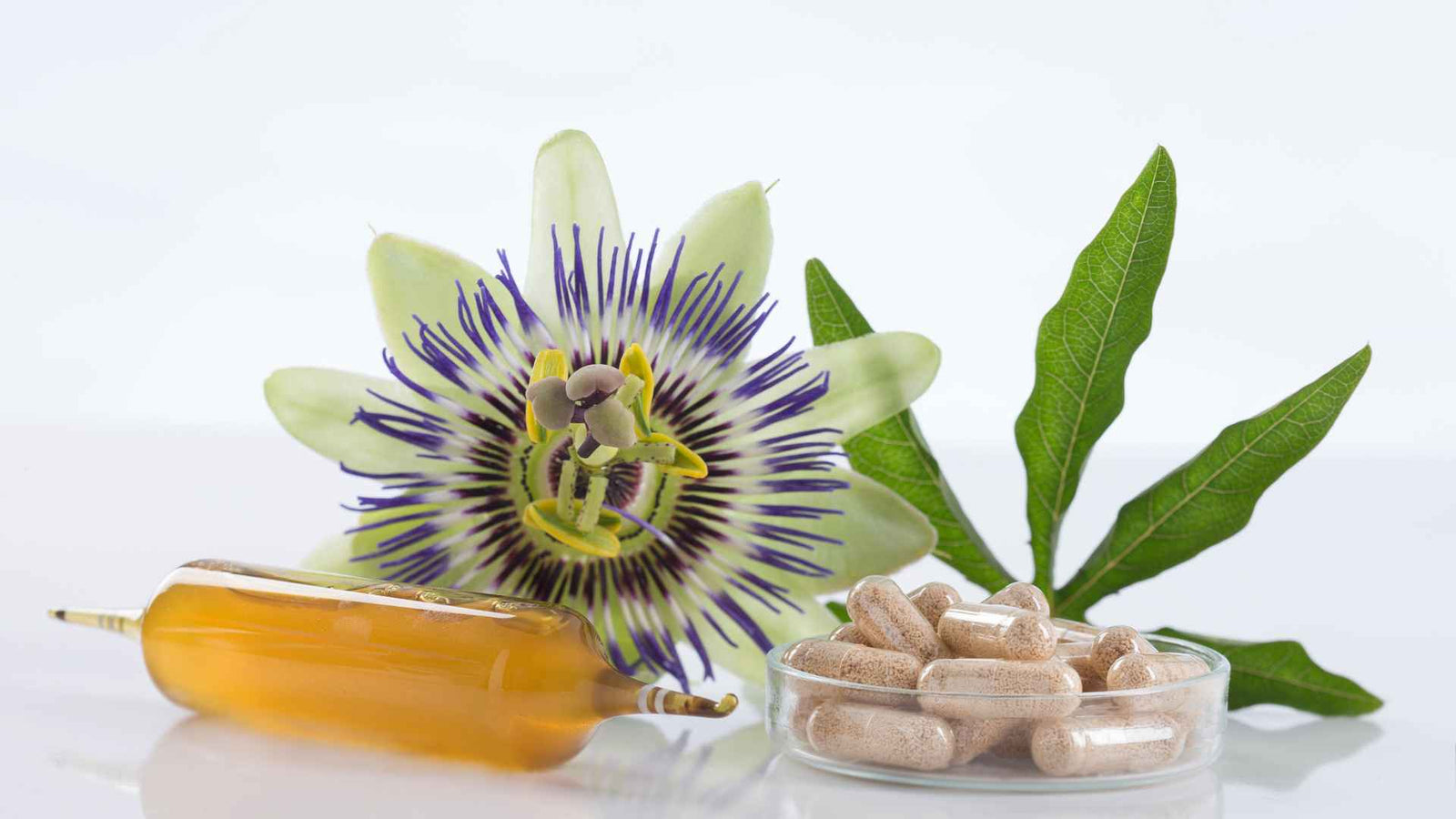 Kräuterblüten, Medikamentkapsel