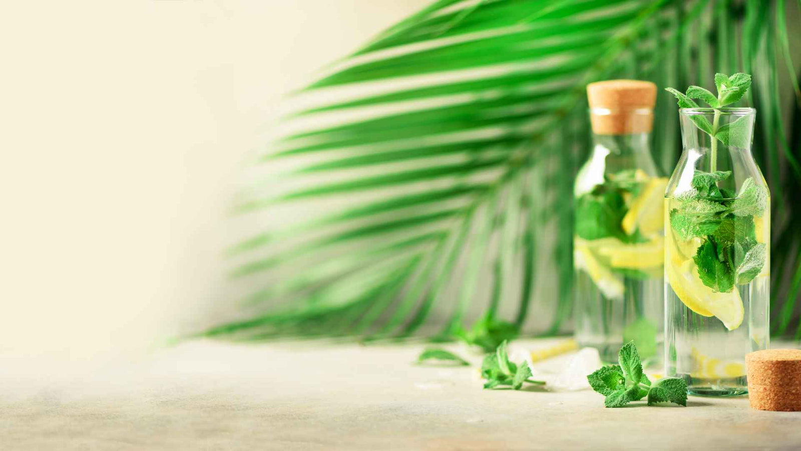 Rechts zwei Flaschen gefüllt mit Wasser, Zitronenscheiben und Minzblättern