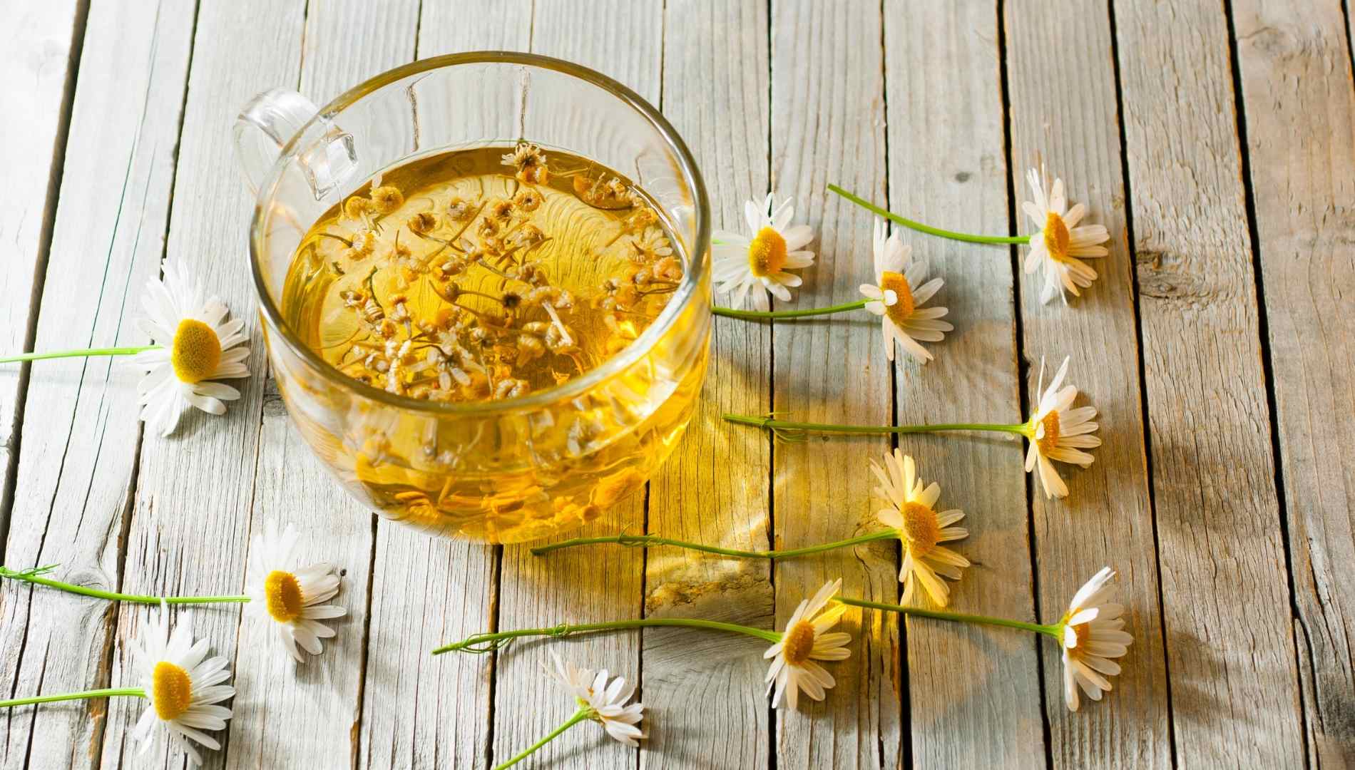 Glas mit Kamillentee und Kamillenblüten drumrum