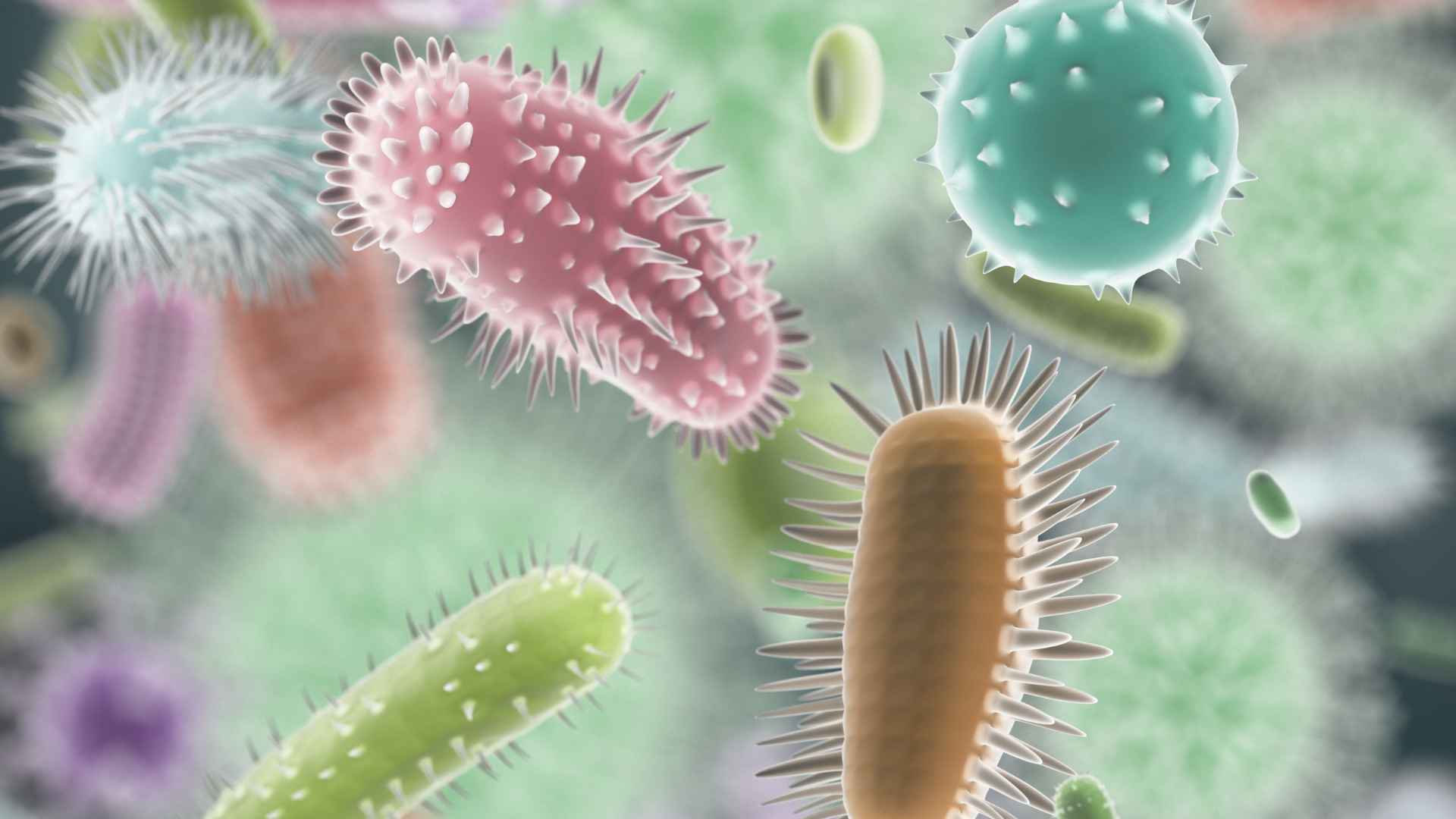 Detailaufnahme Darmbakterien