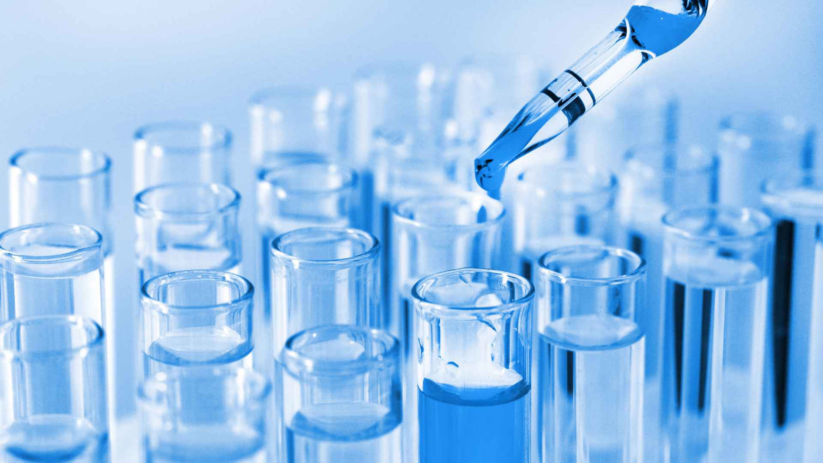 Ca. 20 Reagenzgläser in die mittels Pipette eine Lösung eingefüllt wird