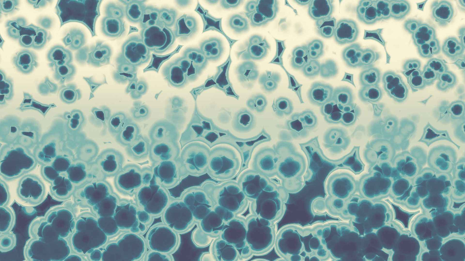 Nahaufnahme von Bakterien