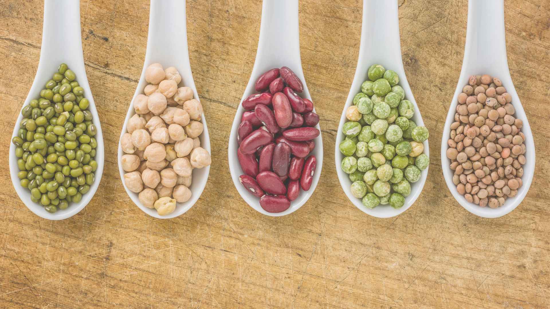 Hülsenfrüchte (Kirchererbsen, rote Bohnen, Erbsen) auf Löffeln präsentiert