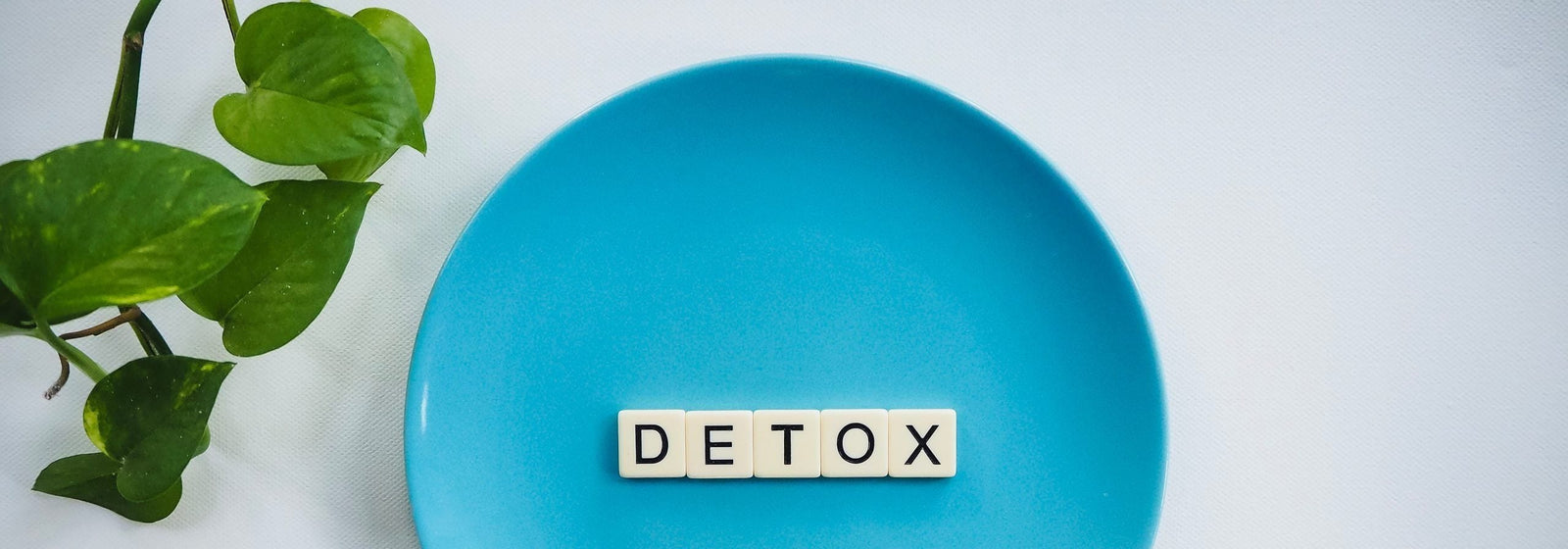 Detox auf blauem Teller als Wort ausgelegt