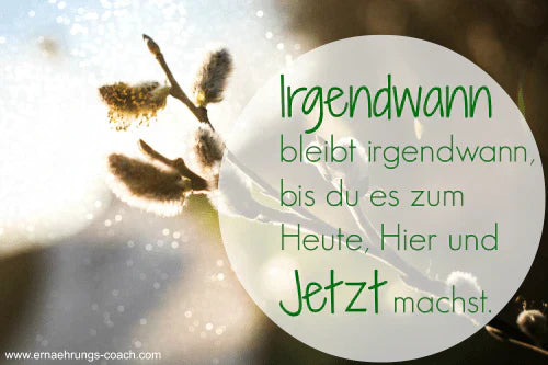 Folge deinem Traum - einfacher gesagt als getan