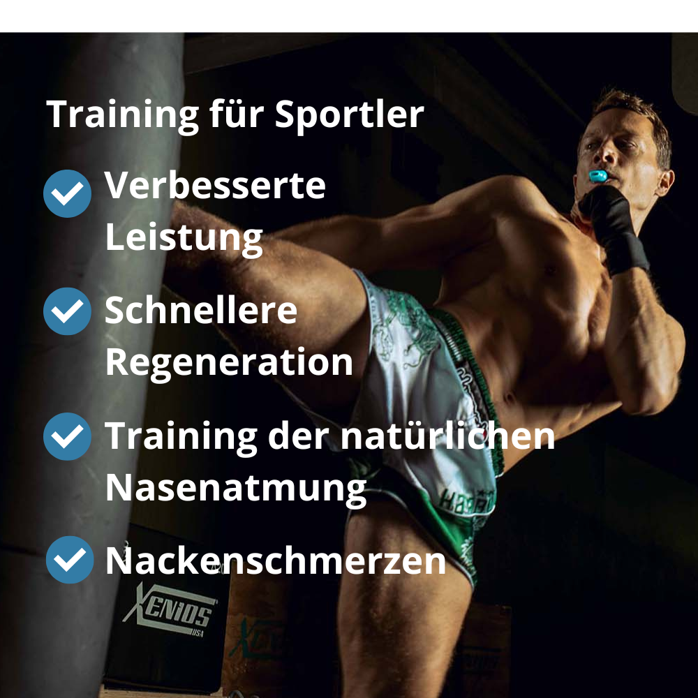 FaceFormer ZERO + ONE