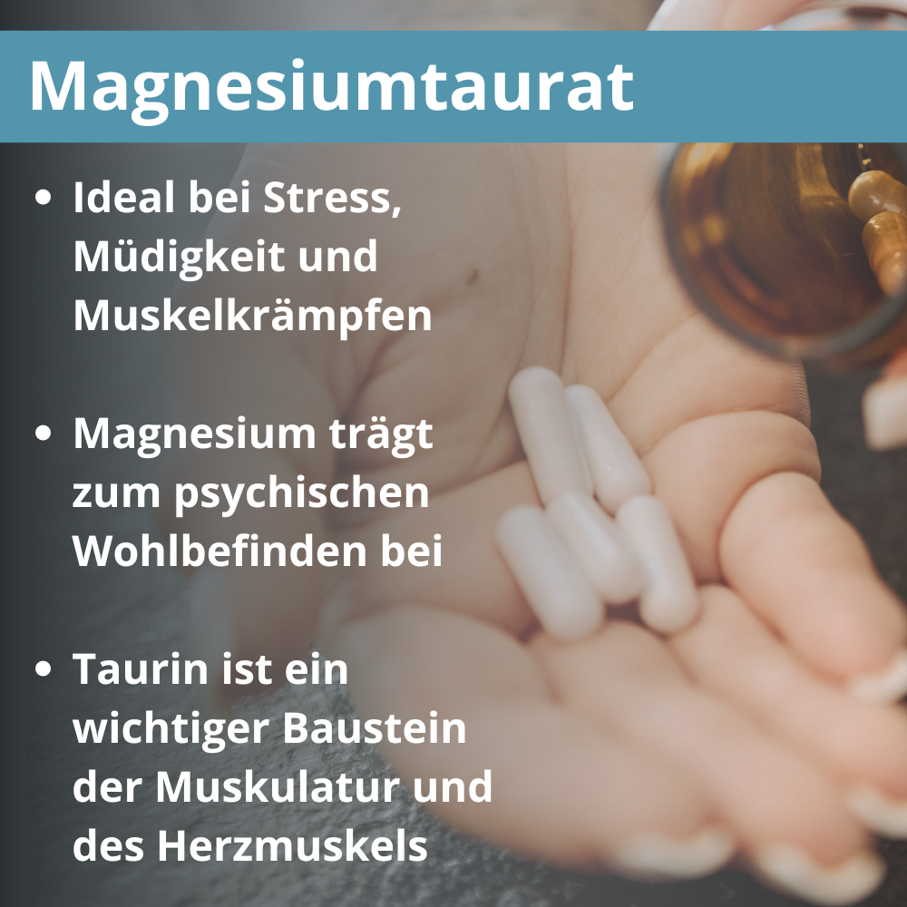 MgT Magnesiumtaurat 120Kps.