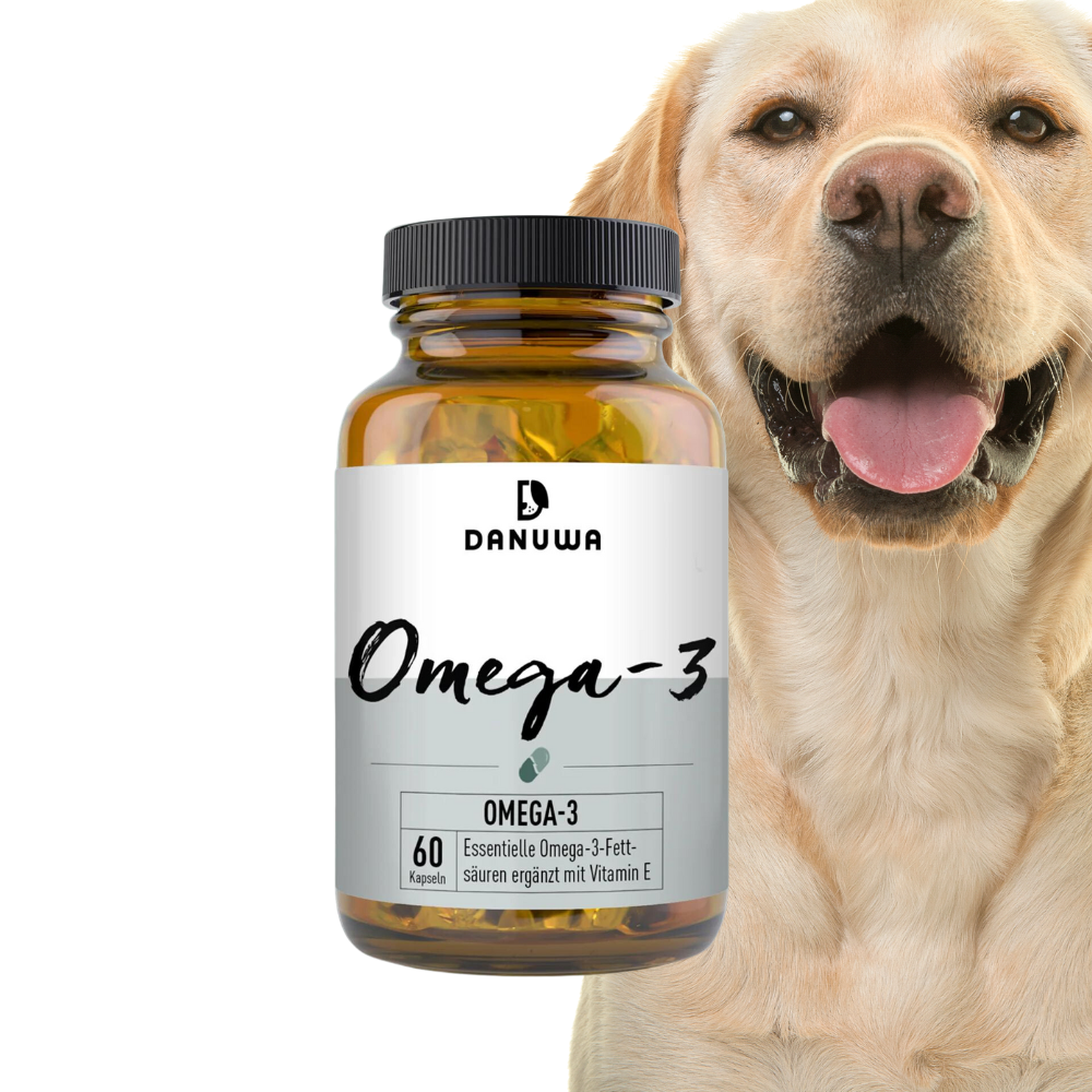 DANUWA Omega 3 FISCHÖLKAPSELN