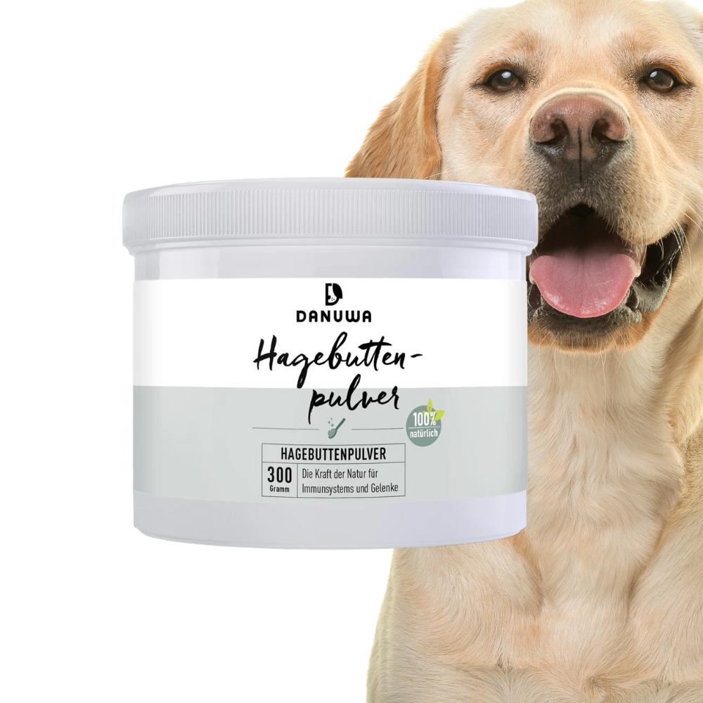 DANUWA Hagebuttenpulver