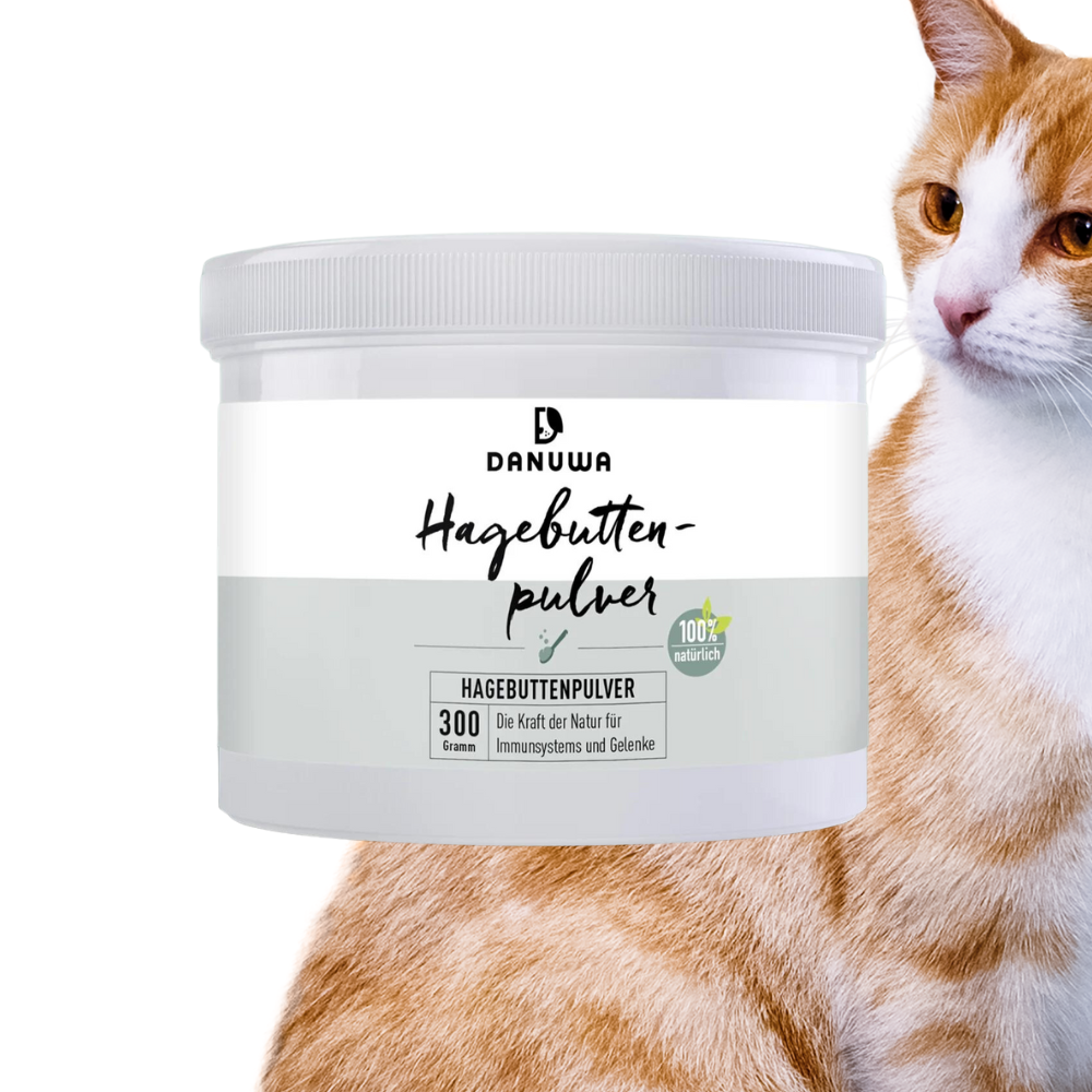 DANUWA Hagebuttenpulver