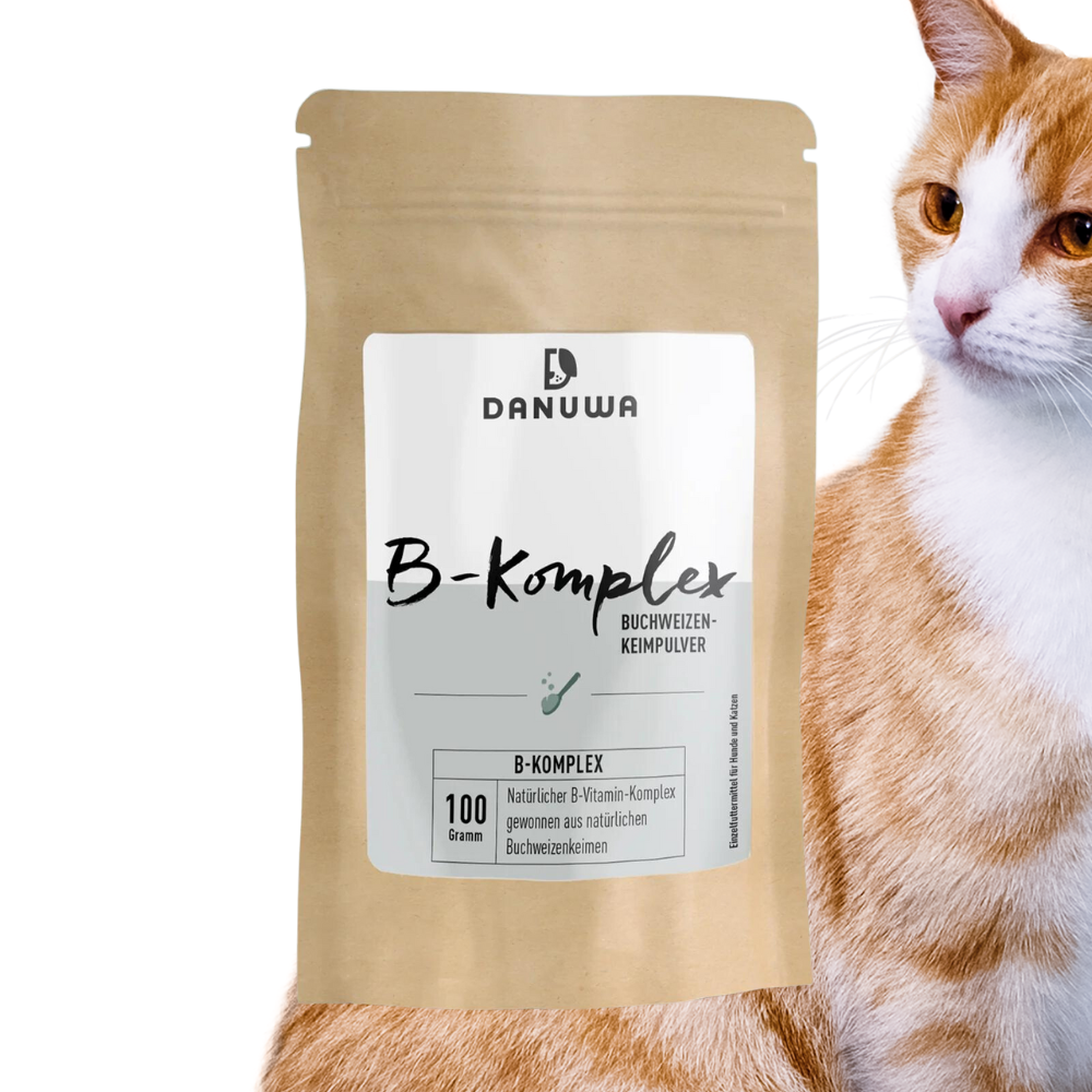 DANUWA Vitamin B-Komplex Buchweizenkeimpulver