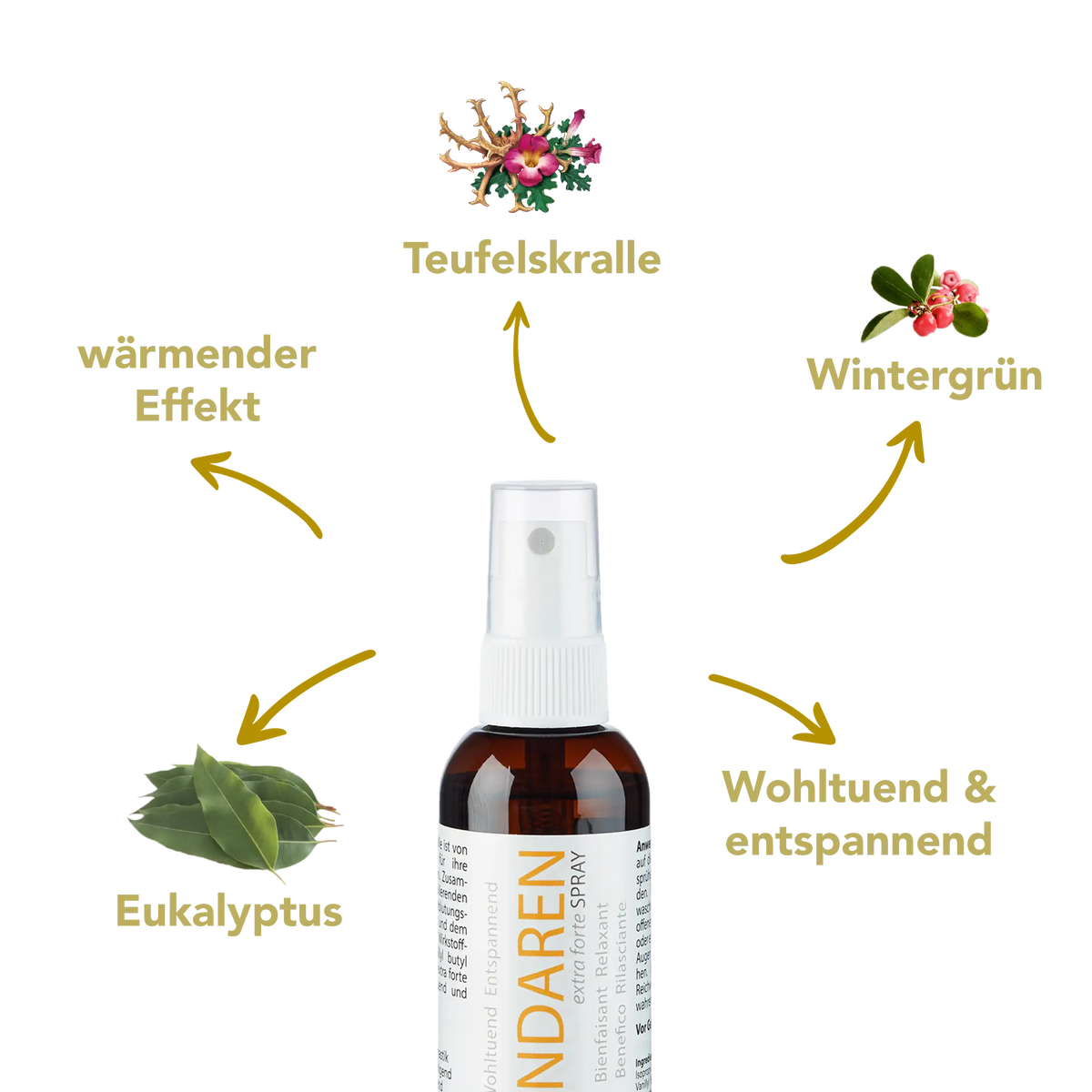 Lindaren Extra Forte Spray