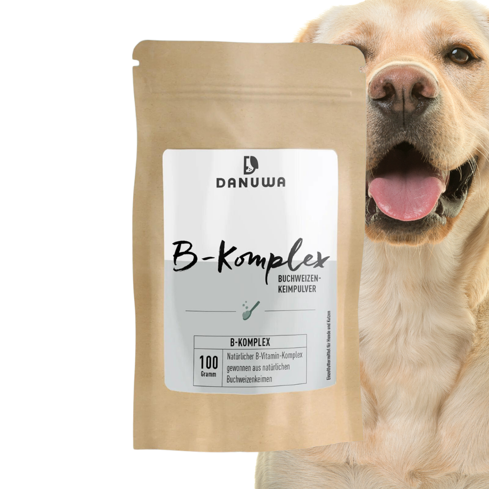DANUWA Vitamin B-Komplex Buchweizenkeimpulver