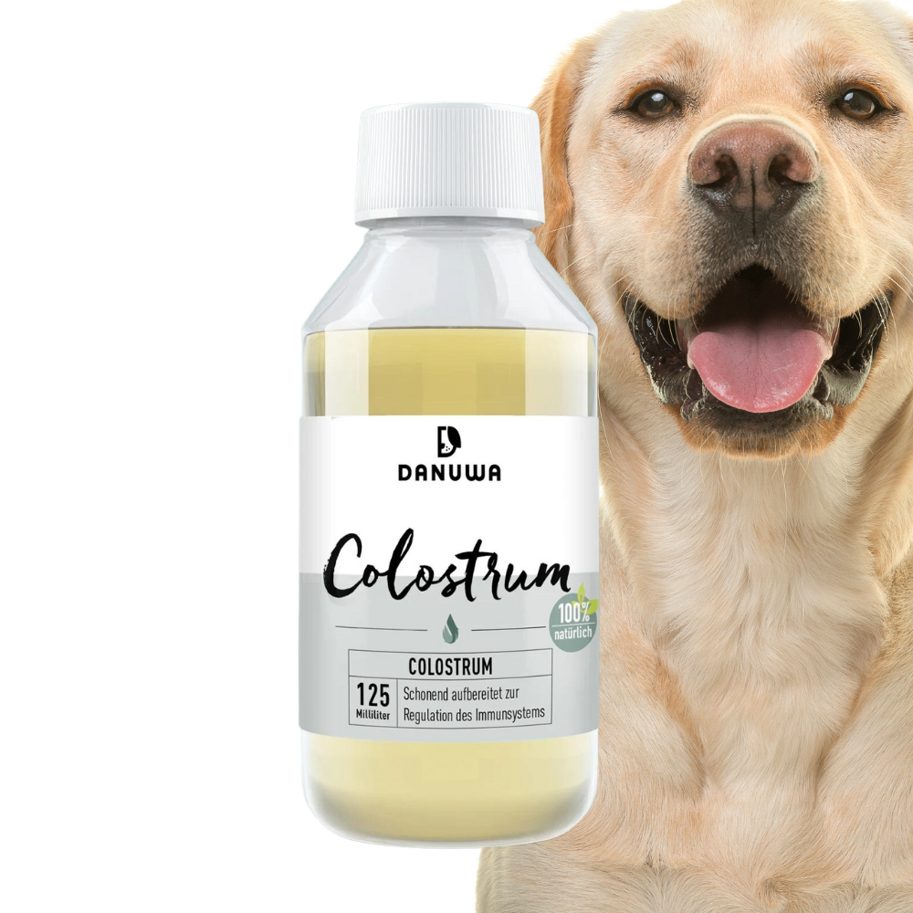 DANUWA Colostrum flüssig