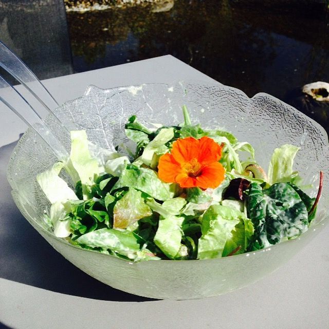 Vegane Salatsauce mit Salat in einer Schüssel auf einem Tisch