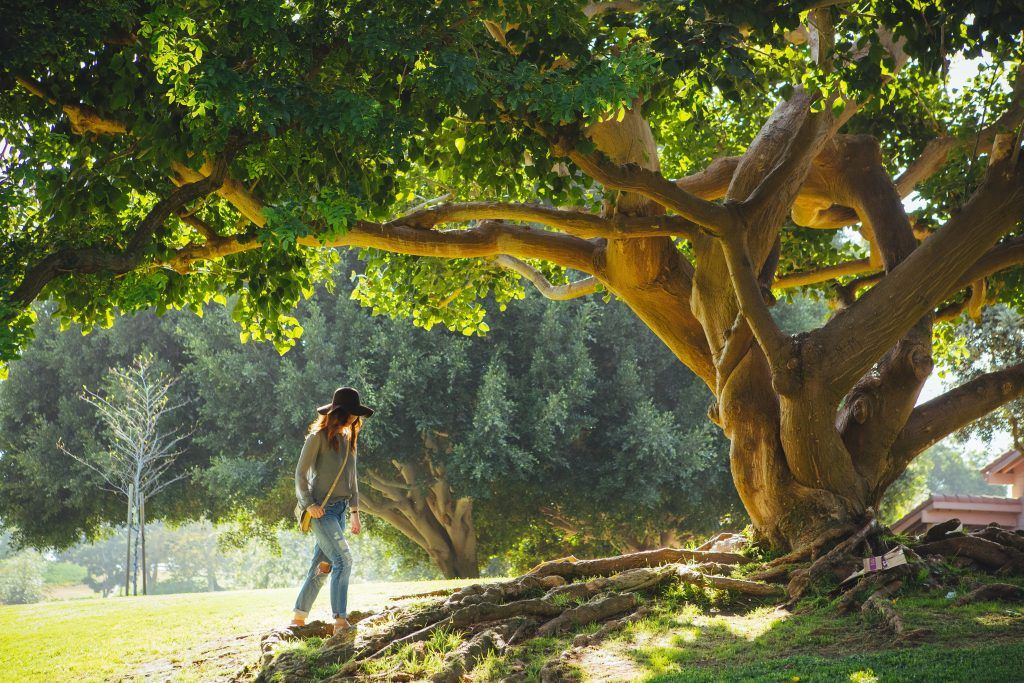 Eine Frau spaziert unter einem großen, alten Baum und denkt über Abnehmen ohne Verzicht nach.