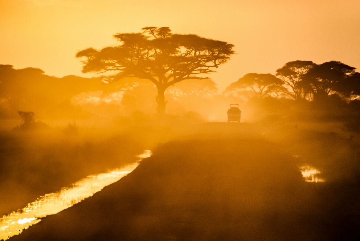 Savanne in hellem Sonnelicht mit afrikanischen Bäumen und Jeep in der Ferne