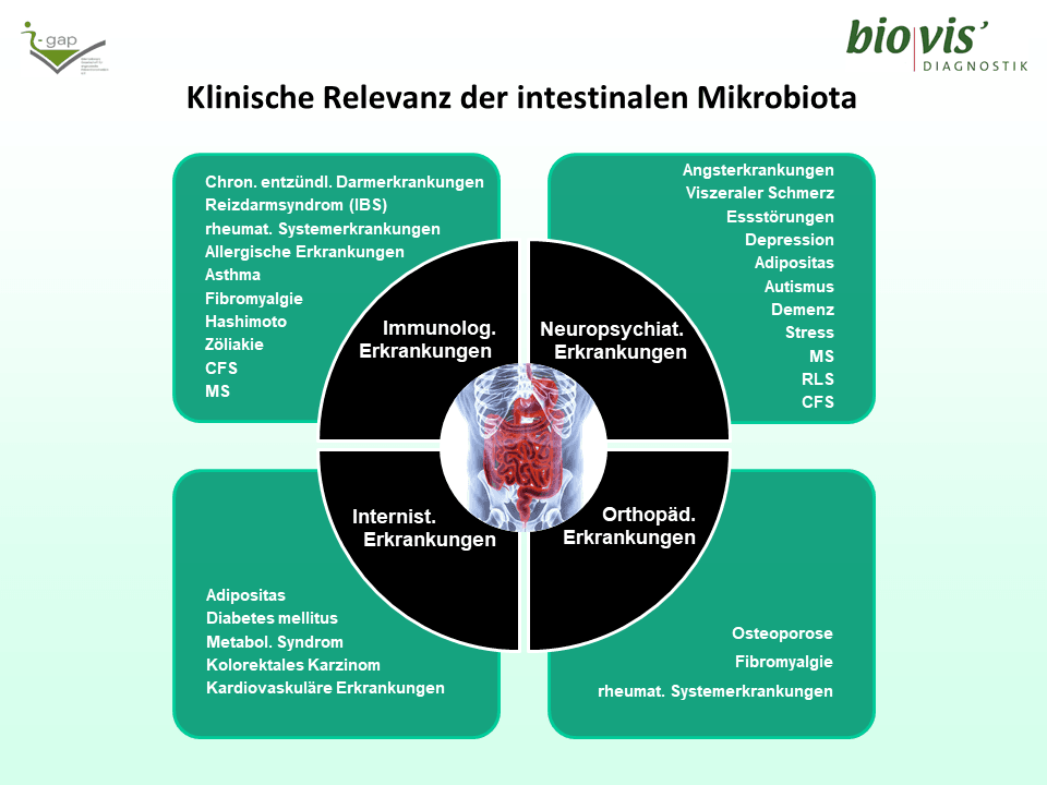 Schaubild klinische Relevanz der intestinalen Mikrobiota