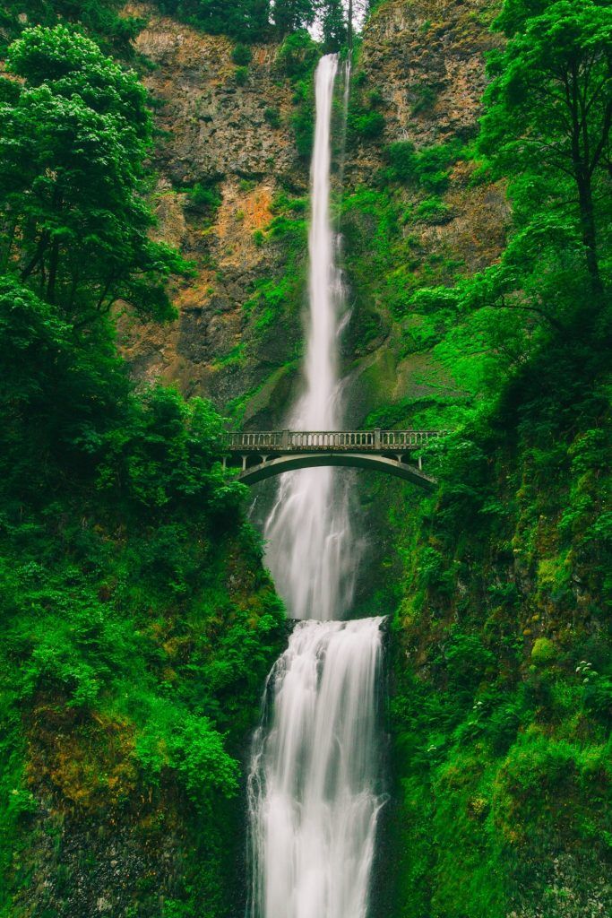 Ein Wasserfall zwischen grünem Ambiente mit einer Brücke darüber, symbolisiert, wie es ist, Schwermetalle aus dem Körper zu waschen.