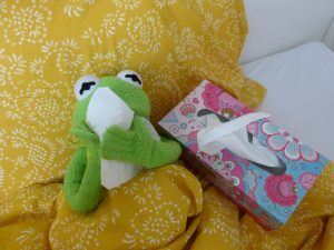 Frog doll Kermit with tissues