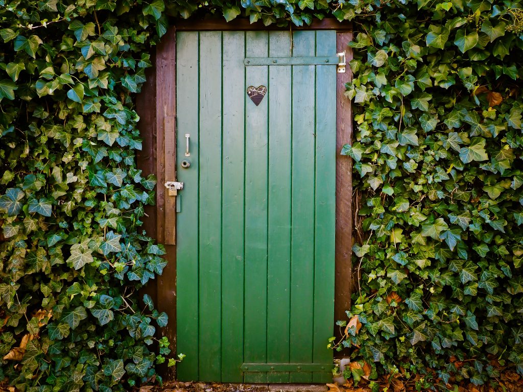 Grüne Toilettentür mit Herz umgeben von grünen Pflanzen. Durchfall äussert sich durch den häufigen Gang zur Toilette
