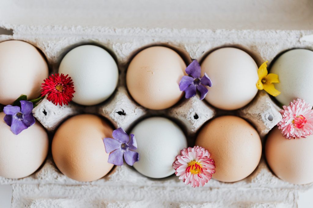 Gesunde Eier liegen dekoriert mit Blumen in Verpackung.