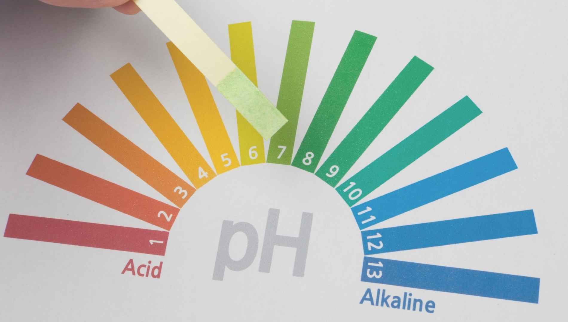 Der pH-Wert im Darm als Indikator für den Zustand deines Mikrobioms (DG174)