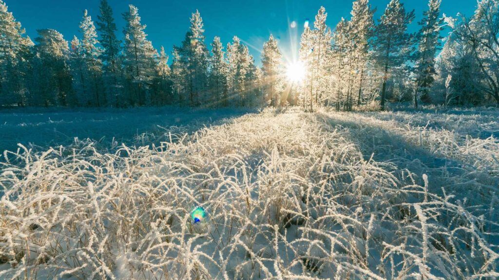 Winterlandschaft von der Sonne beschienen